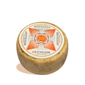 risveglio Formaggio Pecorino